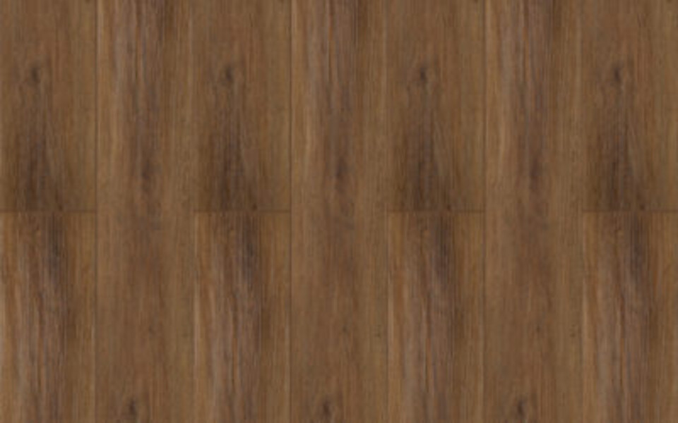 BeFloor Evo Rg distribution Pavimenti in spc