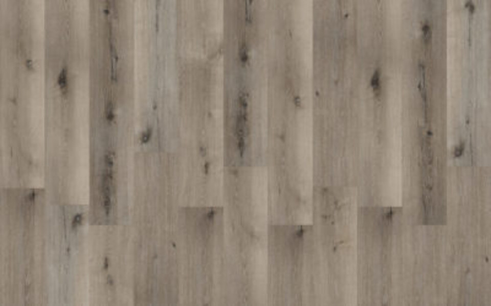 BeFloor Evo Rg distribution Pavimenti in spc