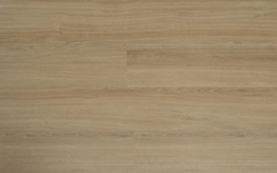 BeFloor Smart Rg distribution Pavimenti in spc