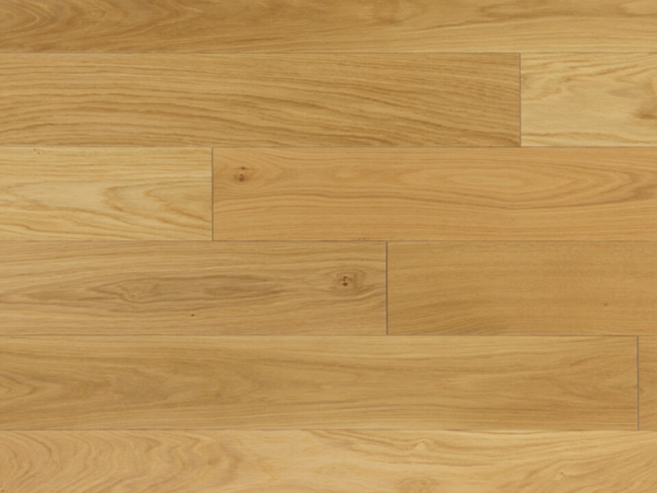 Cosmo Rg distribution parquet