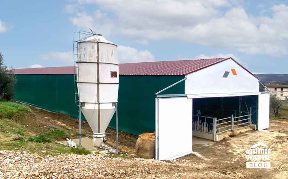Capannone Agricolo in Acciaio e PVC – Ricovero Attrezzi e Stoccaggio Adriatica Chiusure Struttura agricola con varianti