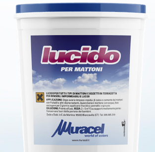 Lucido per mattoni Trattamento idrorepellente ad effetto lucido