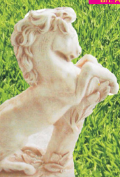 Cavallo